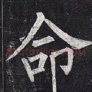 命