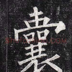 囊