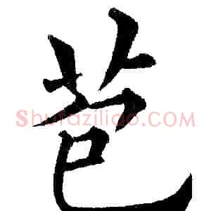 苞