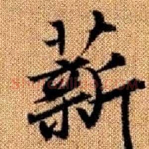 薪