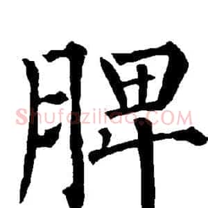 脾