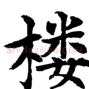 楼