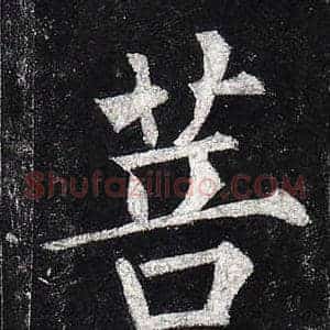 菩