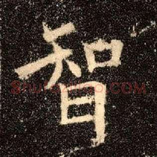 智
