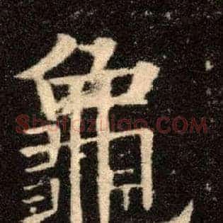 龟