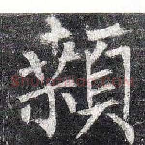 顙