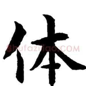 体