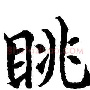 眺