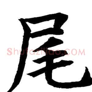 尾