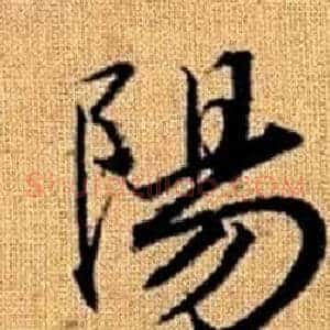 陽
