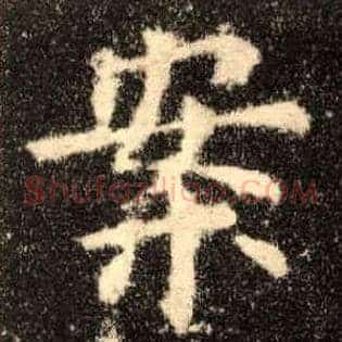 案