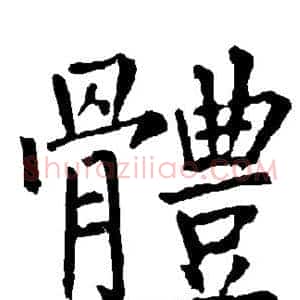 体