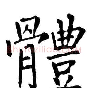 體