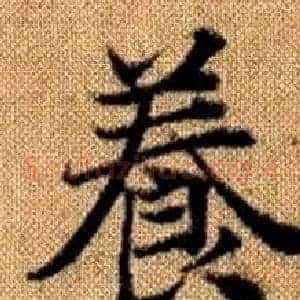 養