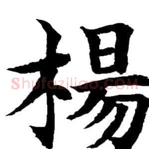 杨