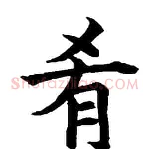 肴