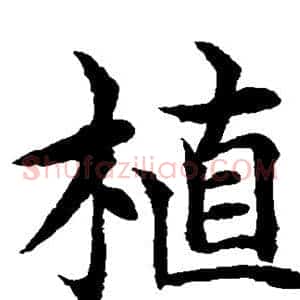 植