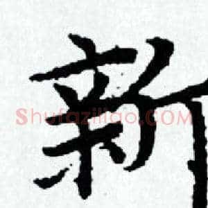 新