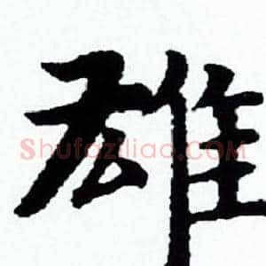 雄