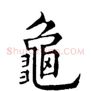 龜