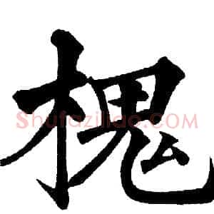 槐