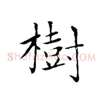 樹
