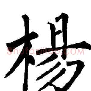 楊