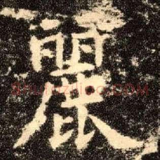 丽