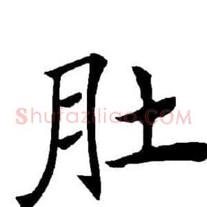 肚
