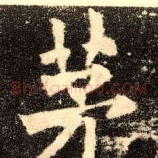 茅