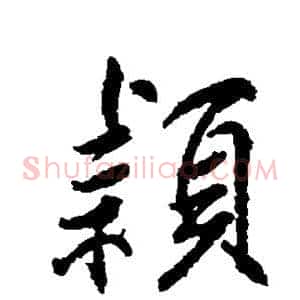 颖