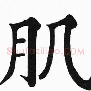 肌
