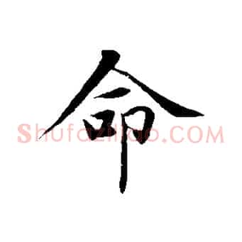 命