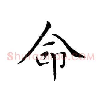 命