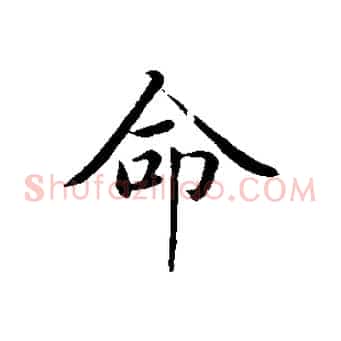 命