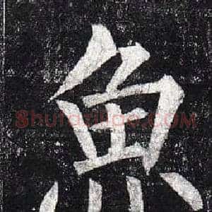 魚