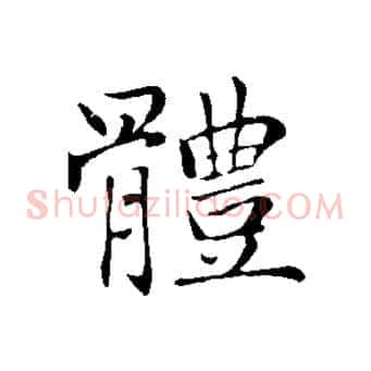 體