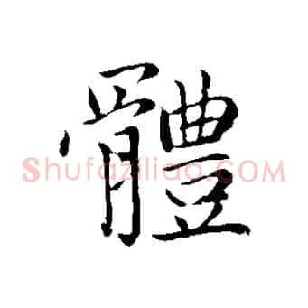 體