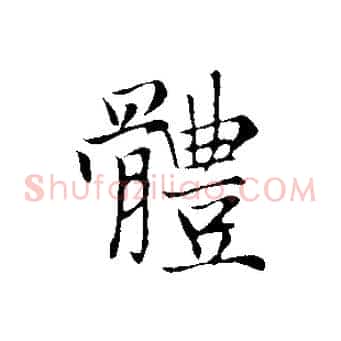 體