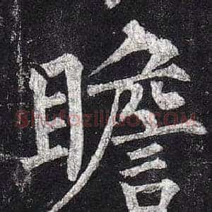 瞻