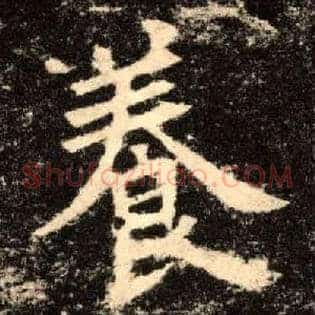 養