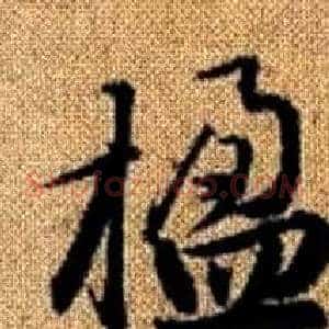 楹