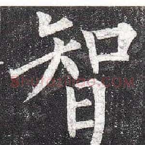智