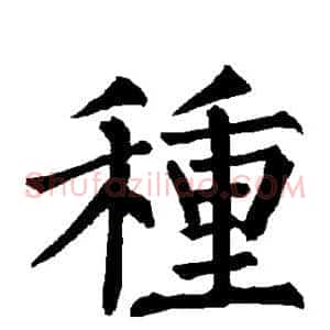 种