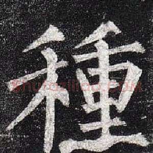 種