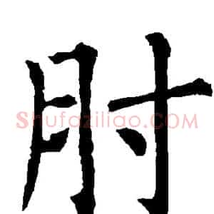 肘