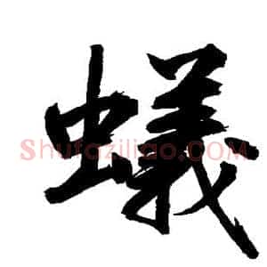蚁