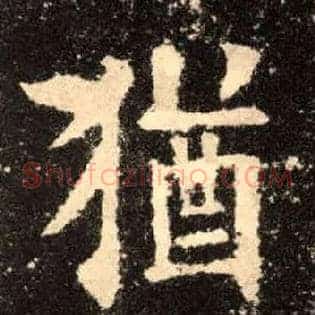 猶