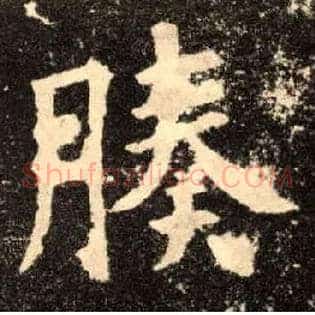 腠