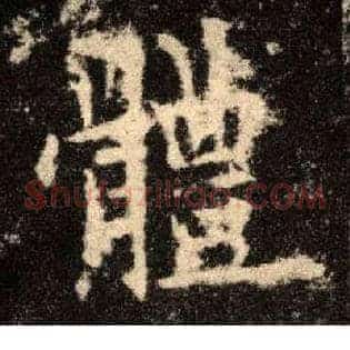 体